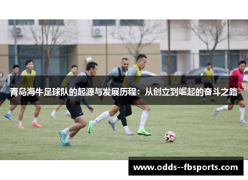 青岛海牛足球队的起源与发展历程:从创立到崛起的奋斗之路 青岛海牛足球队的起源与发展历程:从创立到崛起的奋斗之路